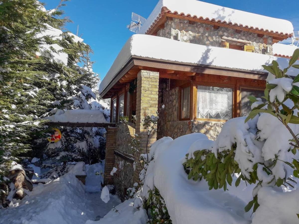 Livadi Chalet Arachova The Perfect Family Vacation Dış mekan fotoğraf